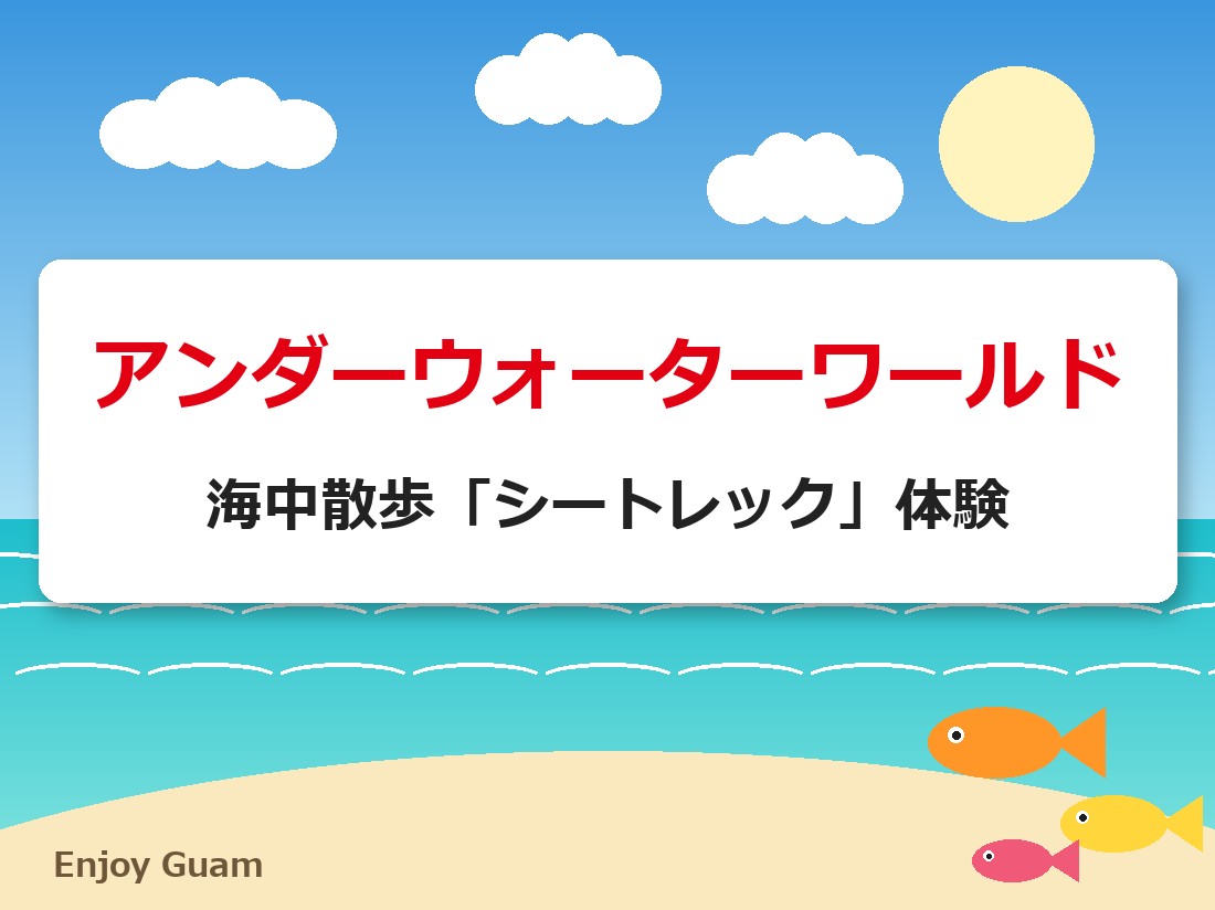 アンダーウォーターワールド｜海中散歩「シートレック」体験